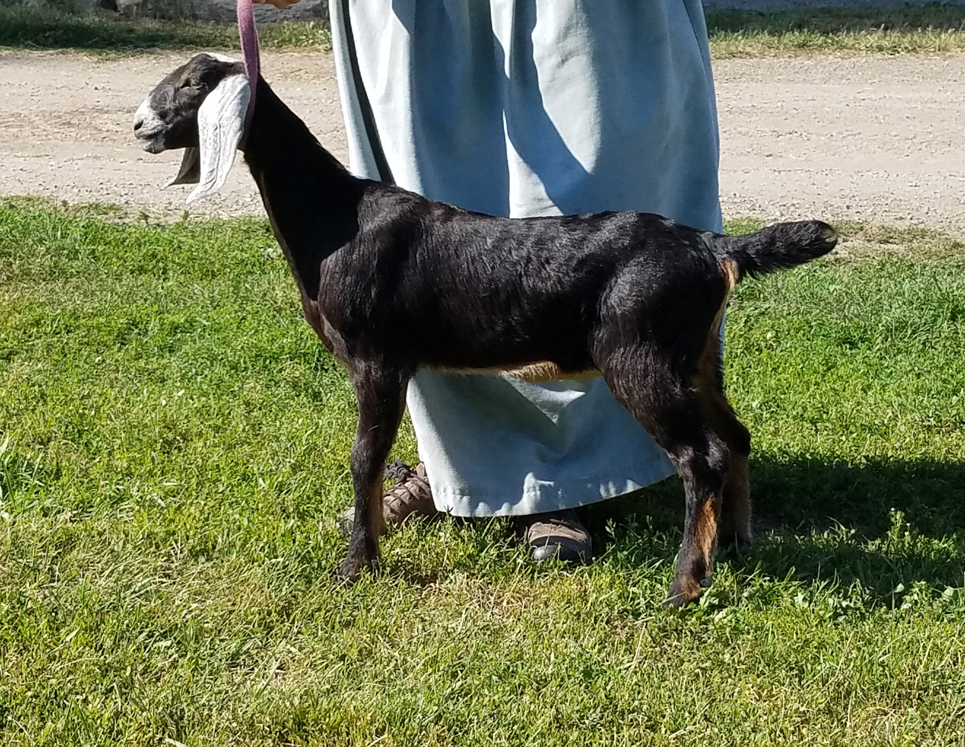 Esther